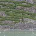 315-9985--9992 Vegitation Stripes Tracy Arm Fjord Panorama.jpg